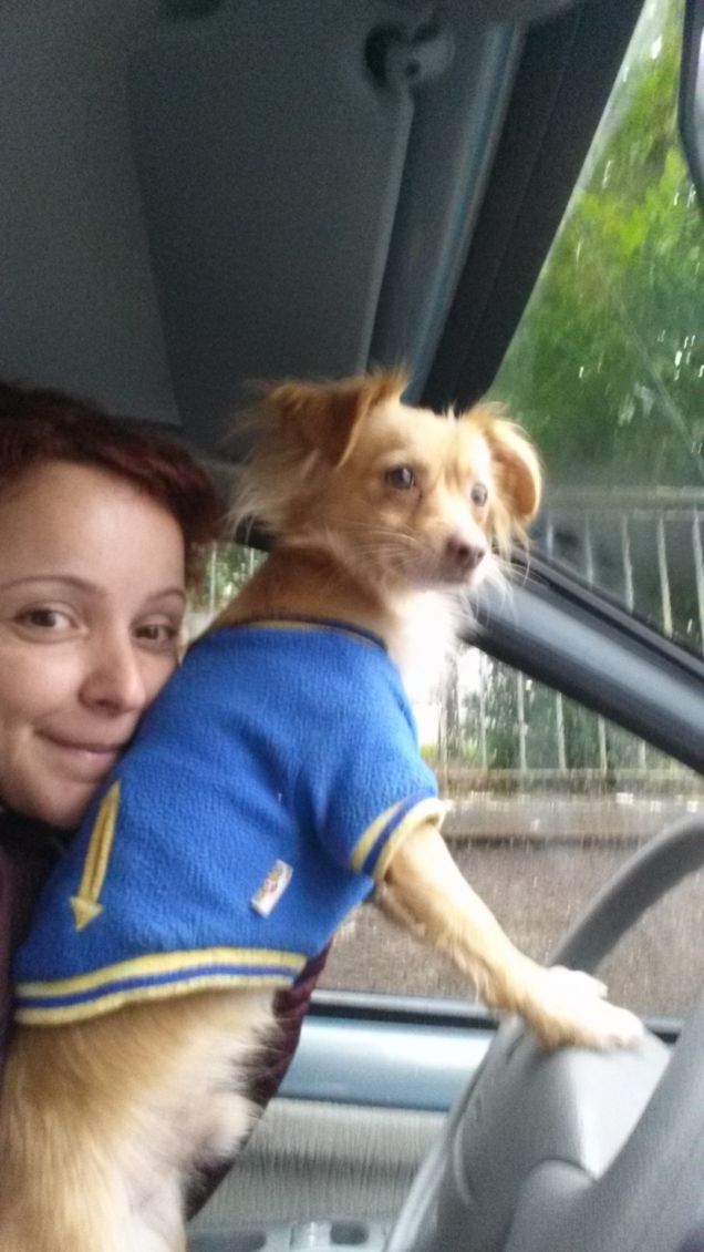 Pronti, partenza, via!