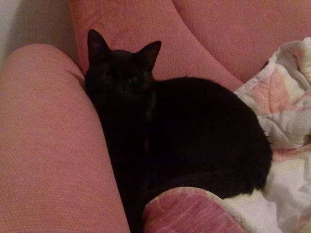 ermes l'imbattibile dio greco padrone del suo mondo