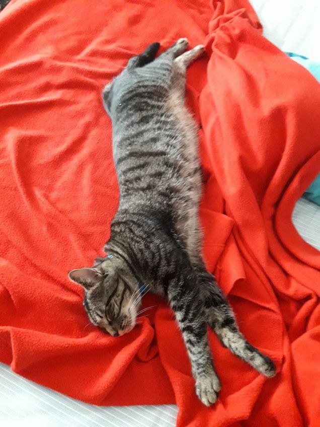 Gigino che fa la nanna