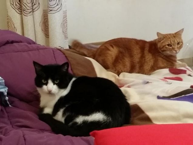 I miei due AMORI !!!