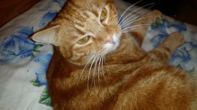 Sguardo accattivante ;-)