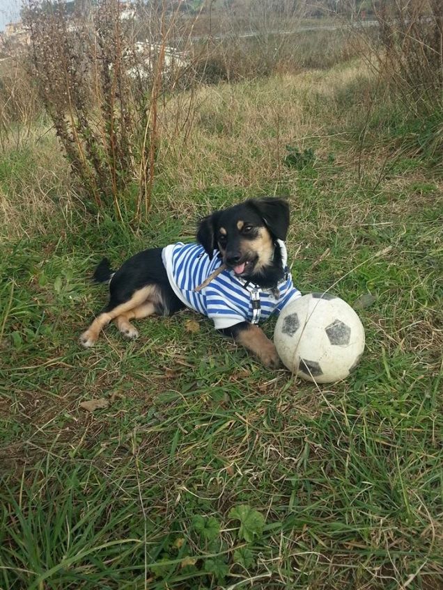 mangione della mamma...