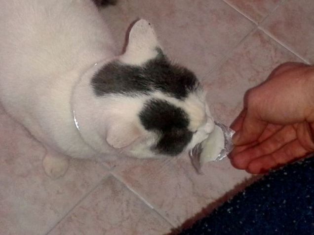 Mi piace tanto lo yogurt... gnam!