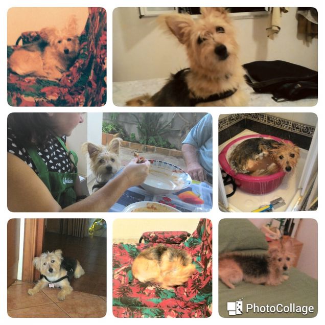 Buon compleanno Nani