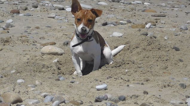 Prima volta al mare!