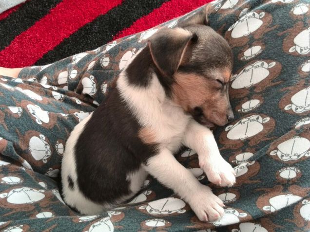 Cross e il suo papà...il loro primo incontro!!!