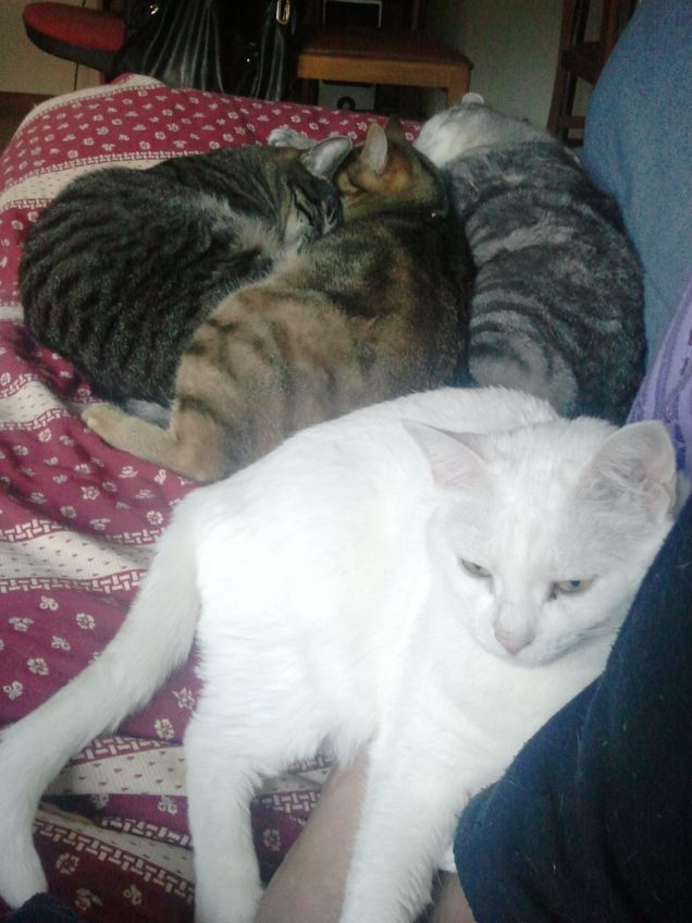 lady( bianca) dietro toby diana jeck