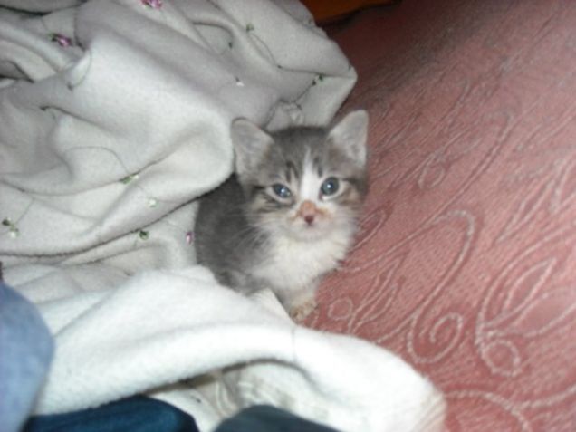 mio mio un mese e mezzo