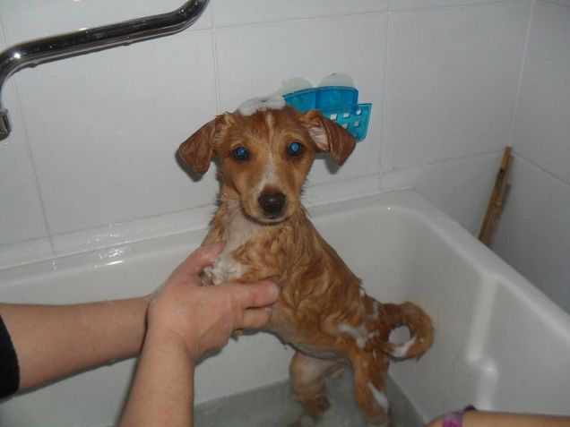 OLLY: il primo bagnetto