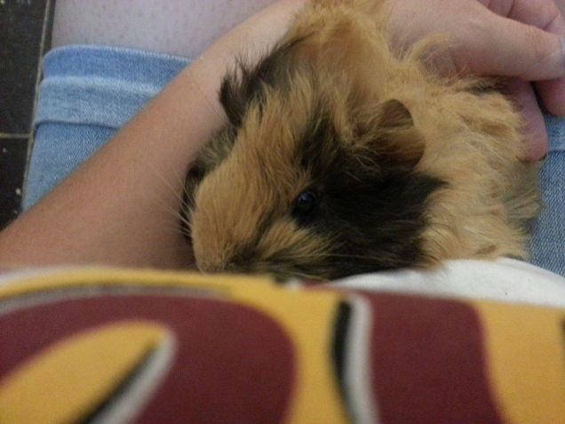 Una settimana di vita