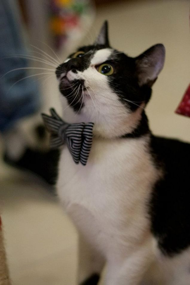 Vuoi venire a cena con me? 