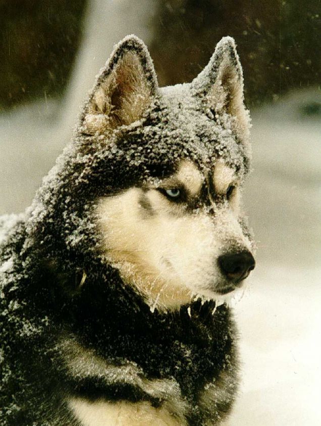 Finalmente il mio ambiente!