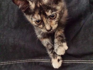 Sally