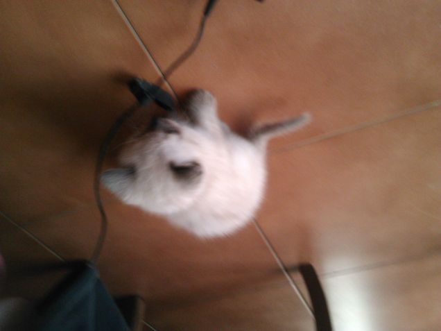 quanto e bello