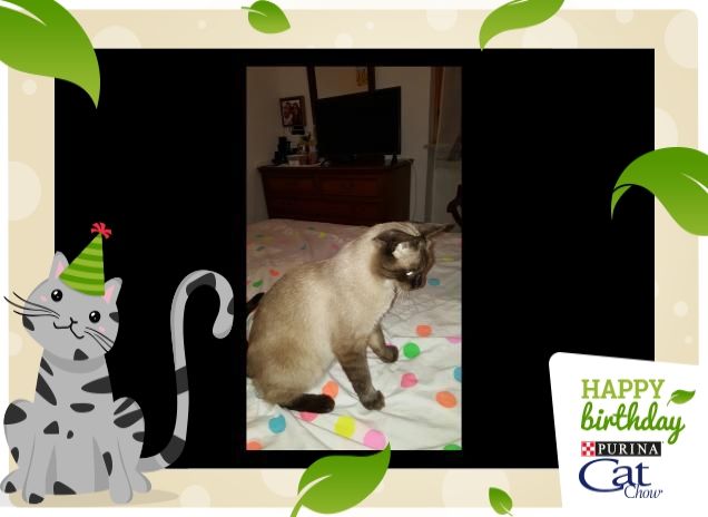 che bello stare a letto :)