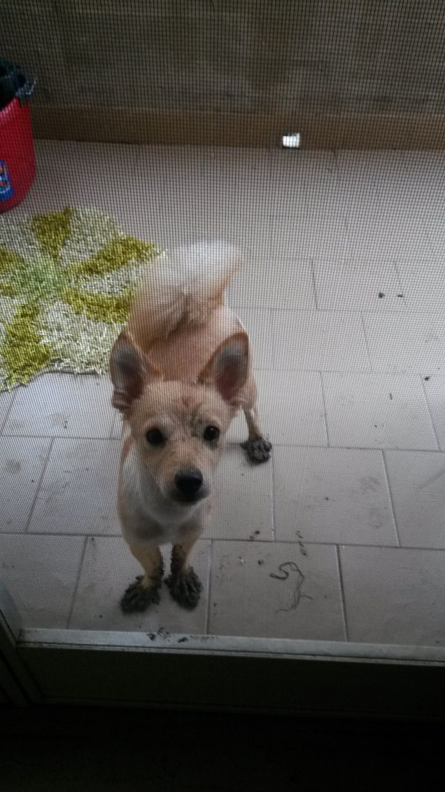 Io non ho fatto niente...