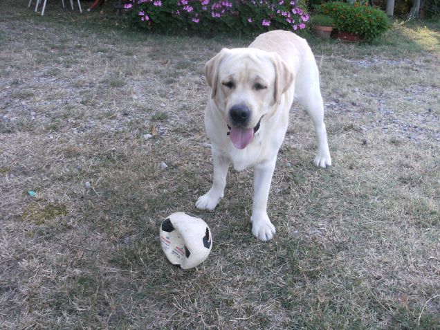 Vuoi giocare con me?