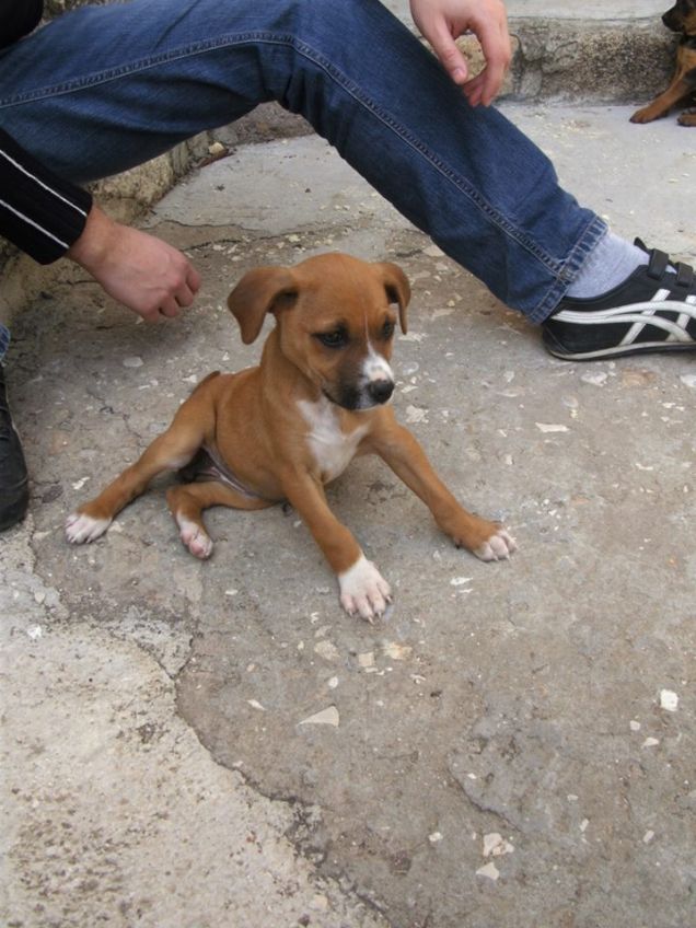 lola, senza cercarla ho trovato il mio tesoro
