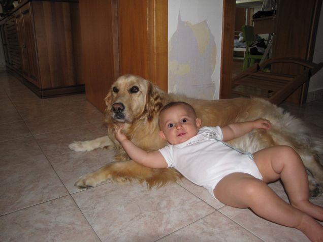 Gli inseparabili Trilli e Marco