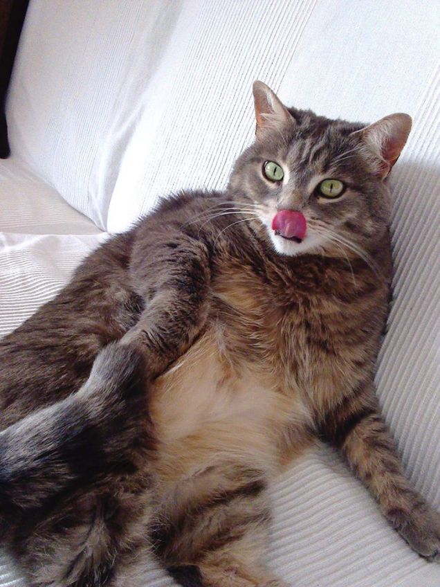 Lavaggio in corso prima della nanna