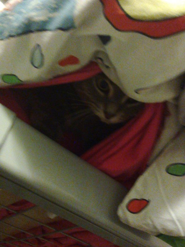 Sorpresa! Ero qui a dormire :)