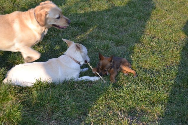 Al parco con le amiche!