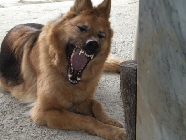 E' solo uno sbadiglio XD