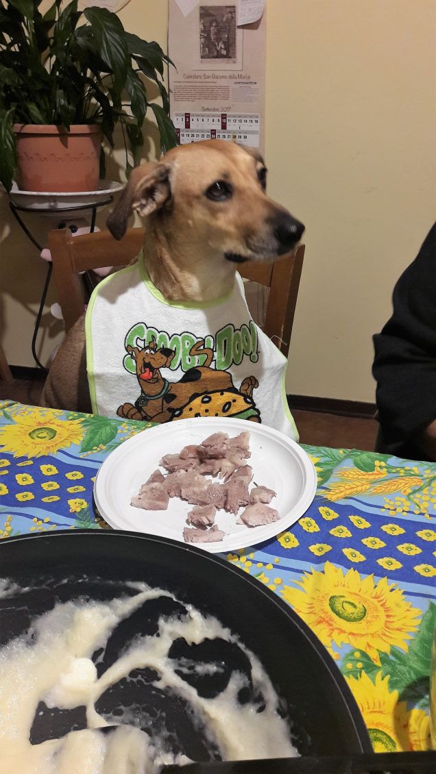 A cena tutti insieme