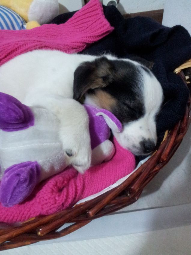 il mio primo pupazzo!!