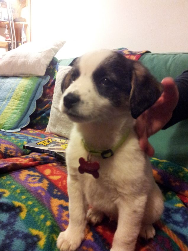 sul divano dei nonni!!