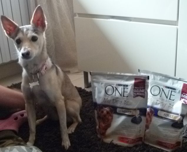 Ava e i suoi croccantini...