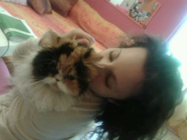 le coccole di mamma 2013