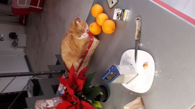 Controllore di cucina