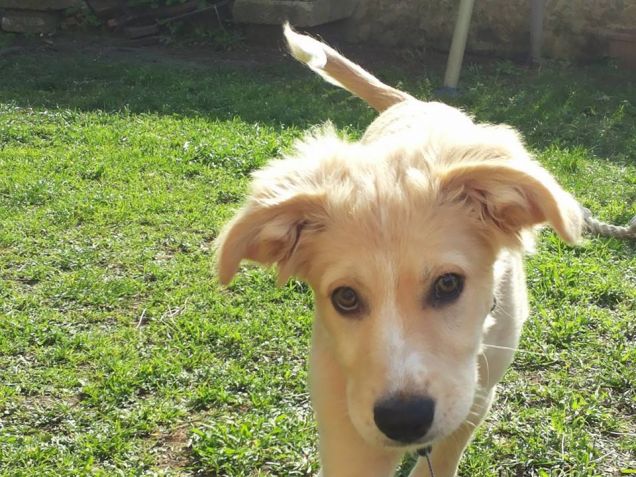 Giocando in giardino