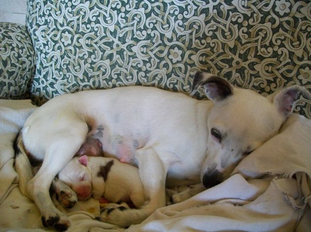 L'amore di una mamma!