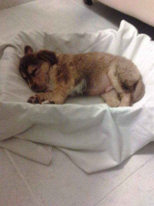 Artù appena arrivato