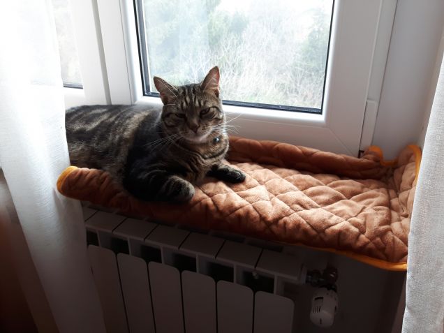 caldo il termosifone