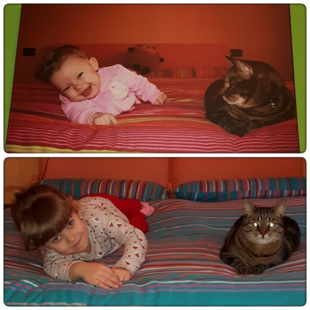 stesso posto  anni diversi