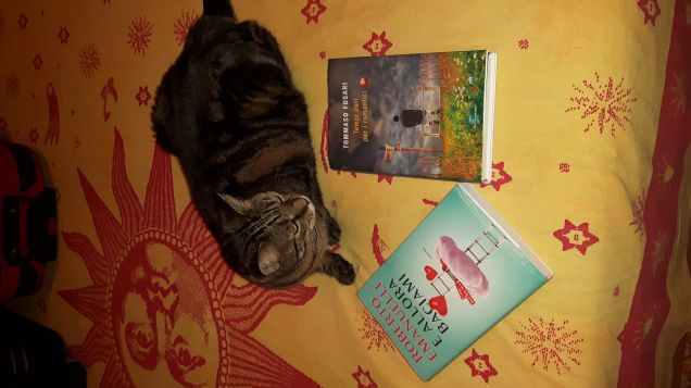 le mie lettura preferite 