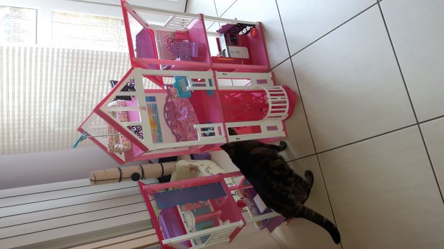 Bella sta casa nuova