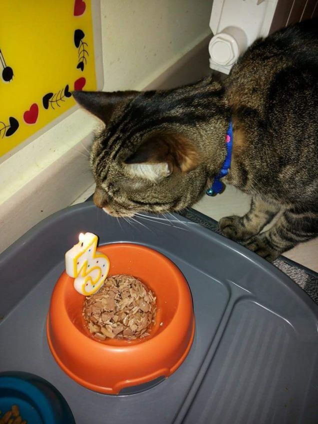 tanti auguri a messi