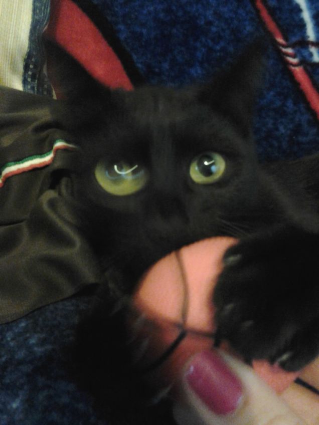 Nuvola con la sua amata pallina!