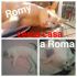 Il gatto Romy angioletto peloso!