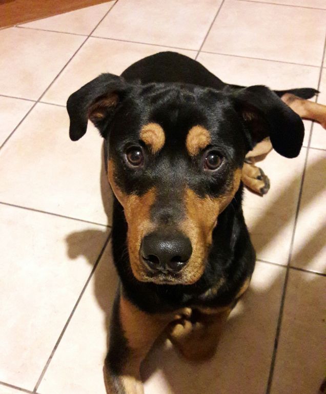 In casa sono abbastanza tranquillo