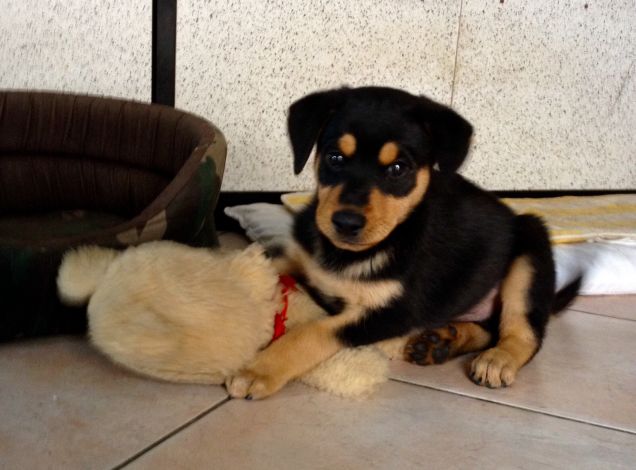 Quando sono arrivato dalla Sicilia ero piccolo così !