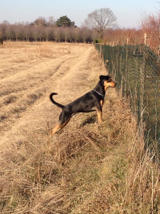 Sto diventando grande