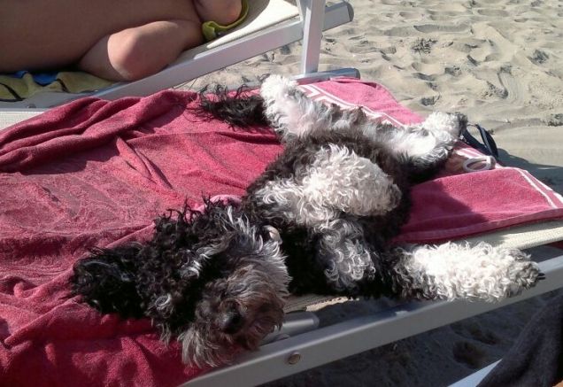 perla al sole dopo il mare 