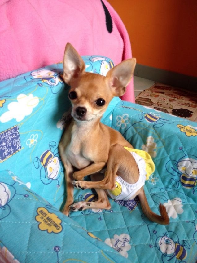 anche il costumino!!