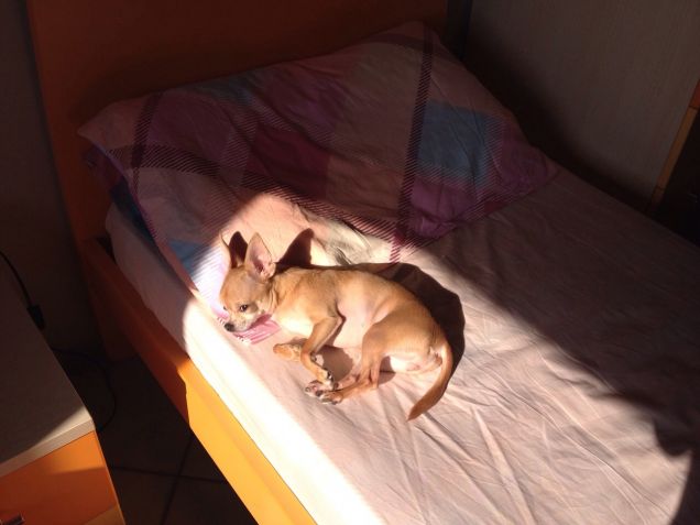 comodamente sdraiata al sole!