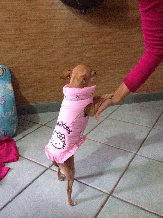 la ballerina più bella del mondo!